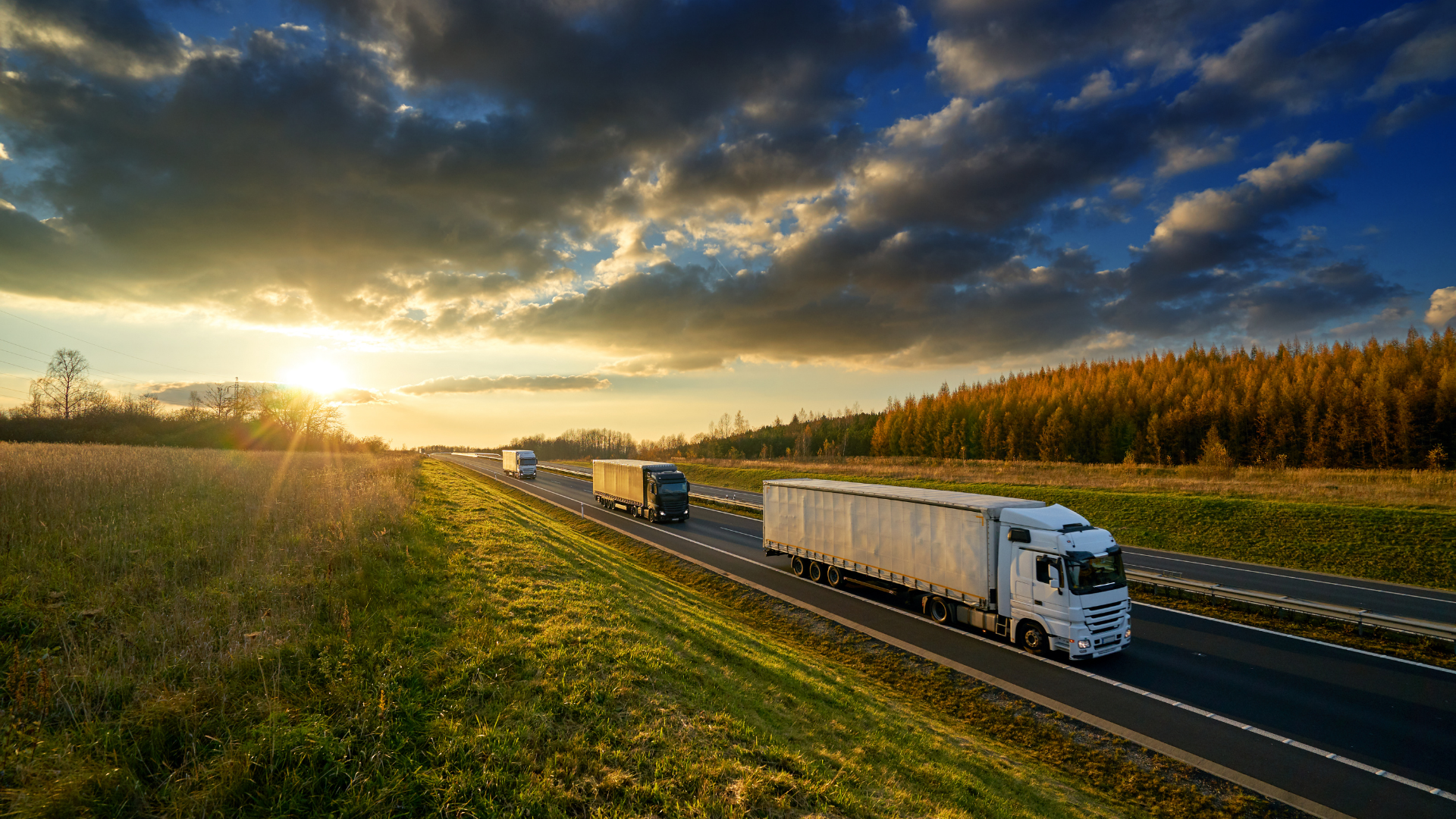 Elmlog taşımacılık